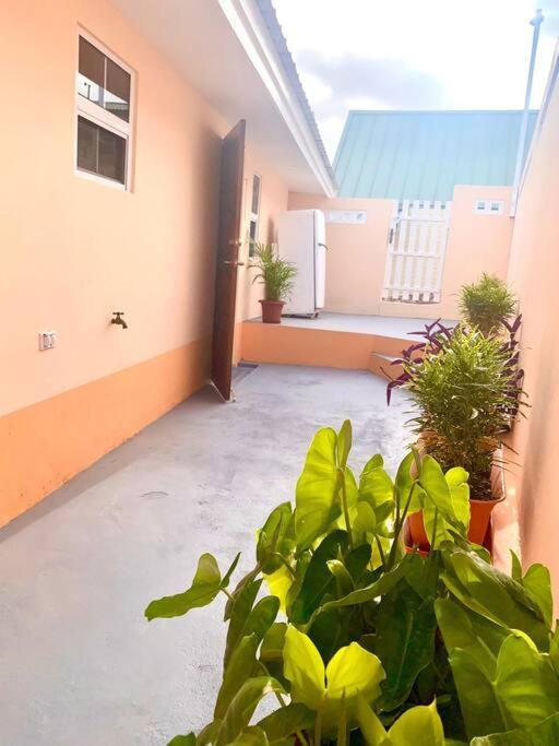 Centrally Located, Private, 1 Bedroom Apartment. Willemstad Exteriér fotografie